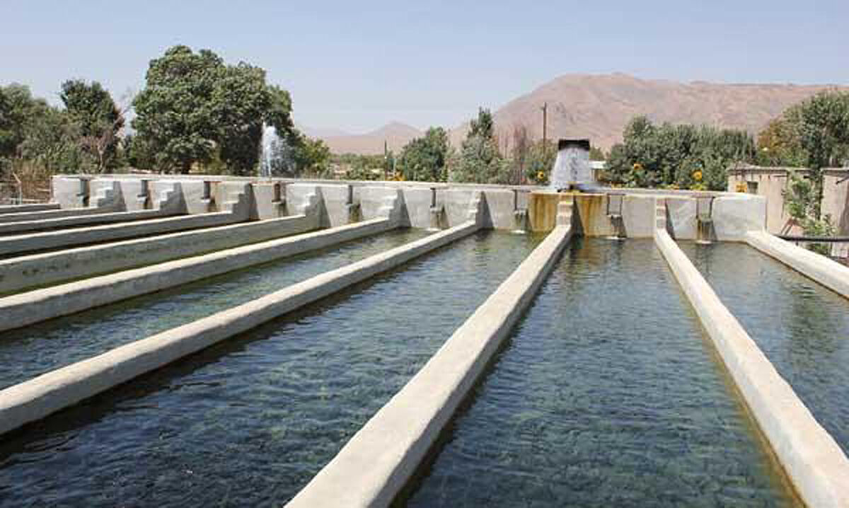 703 مزرعه پرورش آبزیان در استان لرستان فعال است