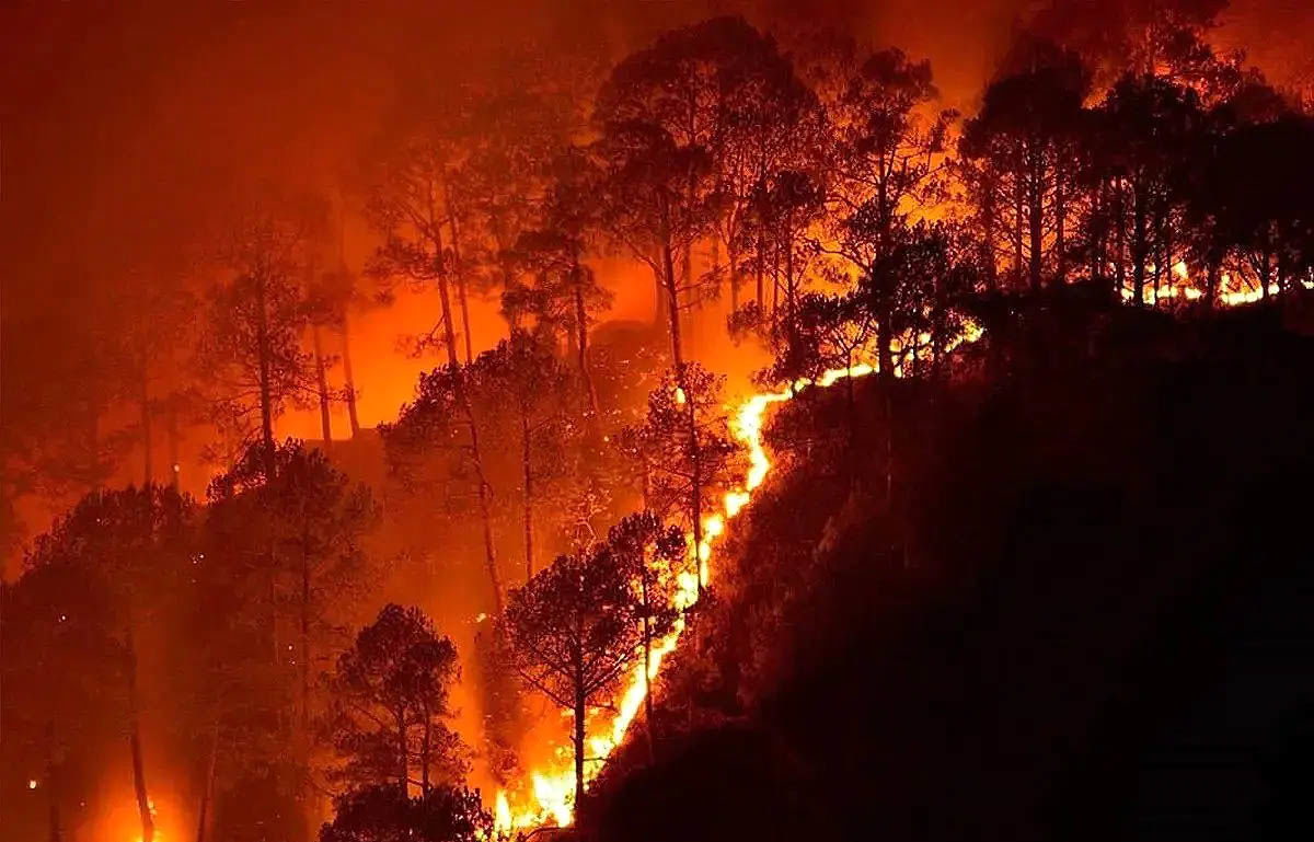 «الیت» پس از آتش‌سوزی