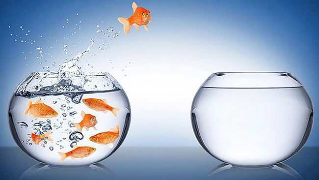  چیرگی متوسط‌ها