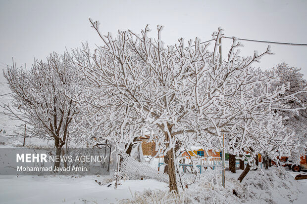 برف و یخبندان در راه زنجان