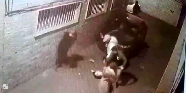 واکنش پلیس به انتشارفیلم زورگیری از دو زن