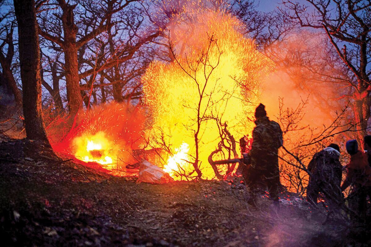 هشدار نسبت به آسیب‌پذیری بی‌سابقه جنگل‌های شمال / عامل آتش‌سوزی در الیت انسانی بود