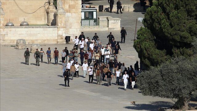 هتک حرمت مسجد الاقصی از سوی شهرک نشینان صهیونیستی