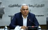 ۳ نرخی بودن قیمت آرد، بستر قاچاق و فساد را فراهم کرده است