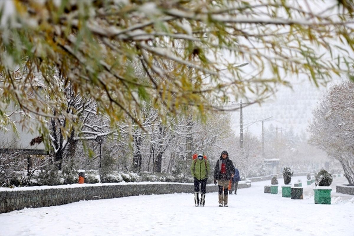 بارش برف این شهر را سردترین نقطه کشور کرد/ دمای هوا به چند درجه رسید؟