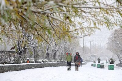 برف این مناطق از ایران را سفیدپوش کرد