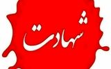 شهادت یک مامور مرزبانی در نگور+ عکس
