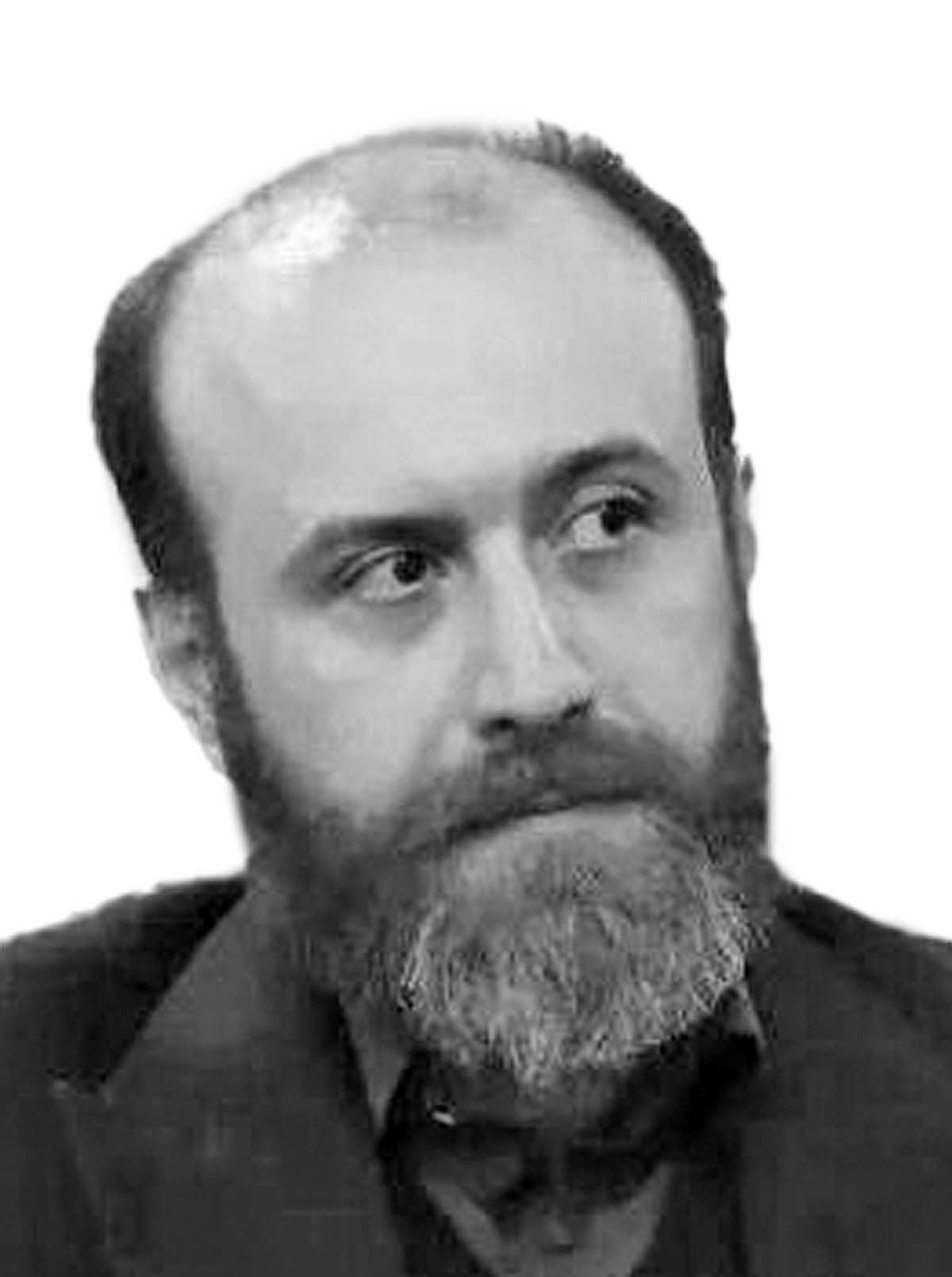 علی  صادقی همدانی