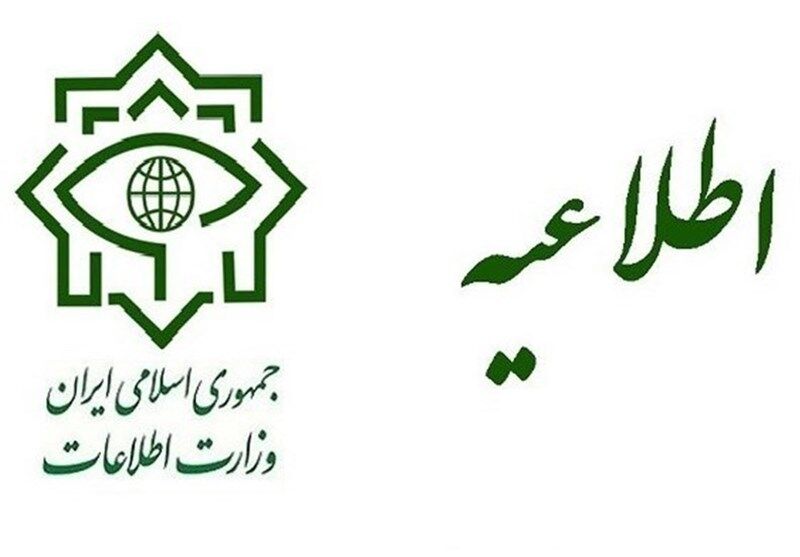 شناسایی 18 هزار حلقه لاستیک دولتی توسط وزارت اطلاعات