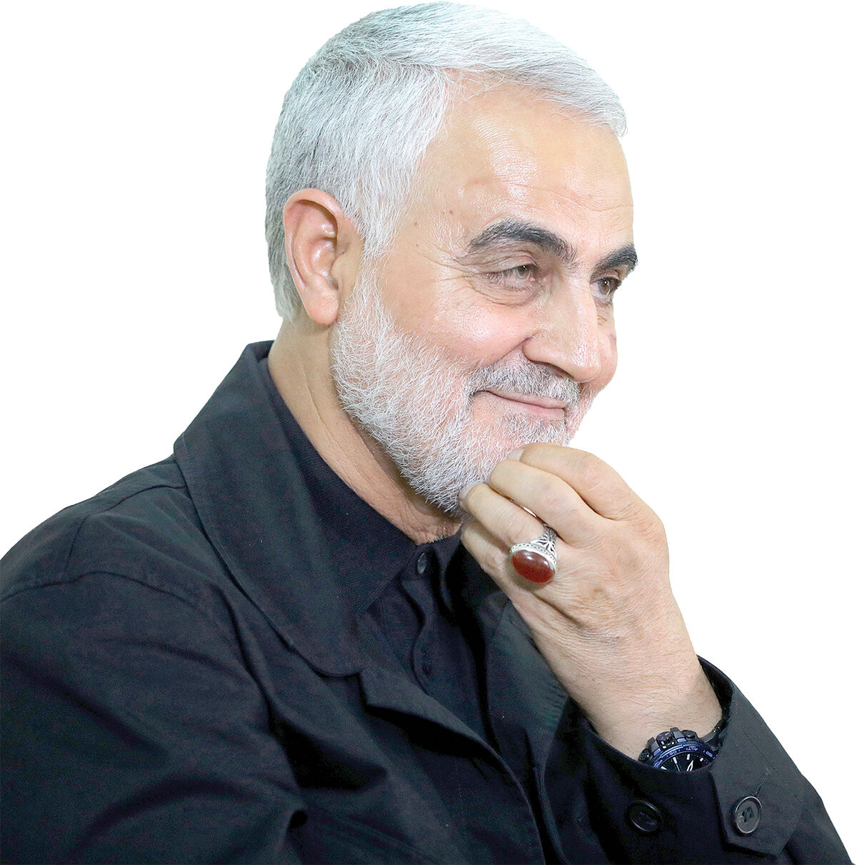تجدیدمیثاق با سردار سلیمانی 
