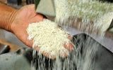 قیمت برنج هندی و پاکستانی در بازار 
