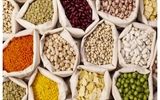آغاز  ثبت‌ سفارش حبوبات از فردا/ قیمت ‌های جدید اعلام شد+ جدول