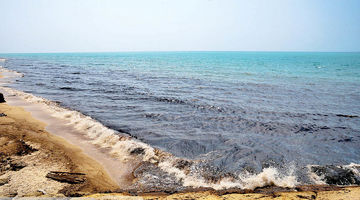 آزمون زیست‌محیطی تنگه هرمز