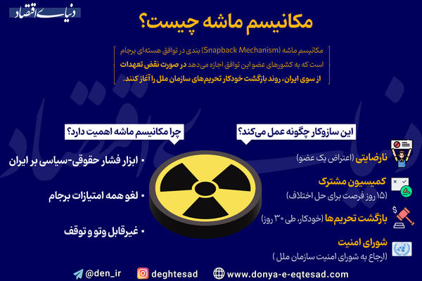 مکانیسم ماشه چیست؟ آیا فعال خواهد شد؟