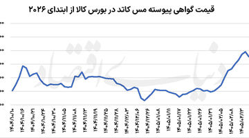 دو سناریوی مس بورسی