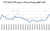 دو سناریوی مس بورسی