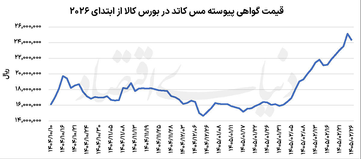دو سناریوی مس بورسی