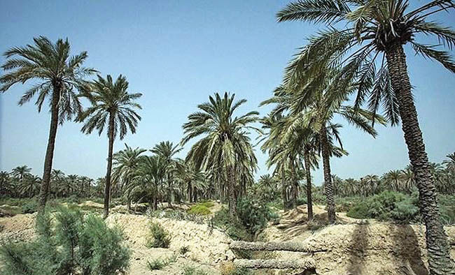 رتبه نخست خشکسالی برای خوزستان