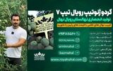 رویال نهال، اولین و بزرگترین تولیدکننده نهال گردو تیپ 7 در ایران