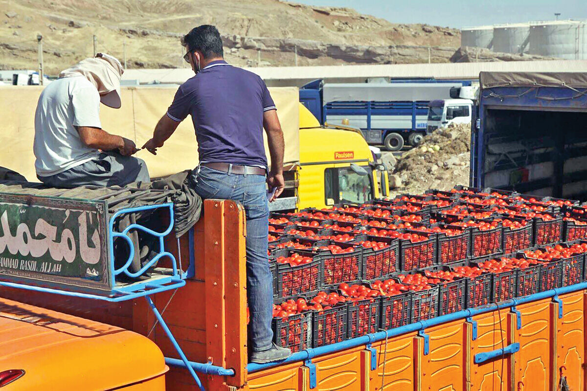 تصمیم «موقت» جدید برای کشاورزی