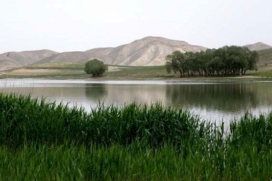 آبگیری تالاب بین‌المللی «قوری گول» در آذربایجان‌شرقی