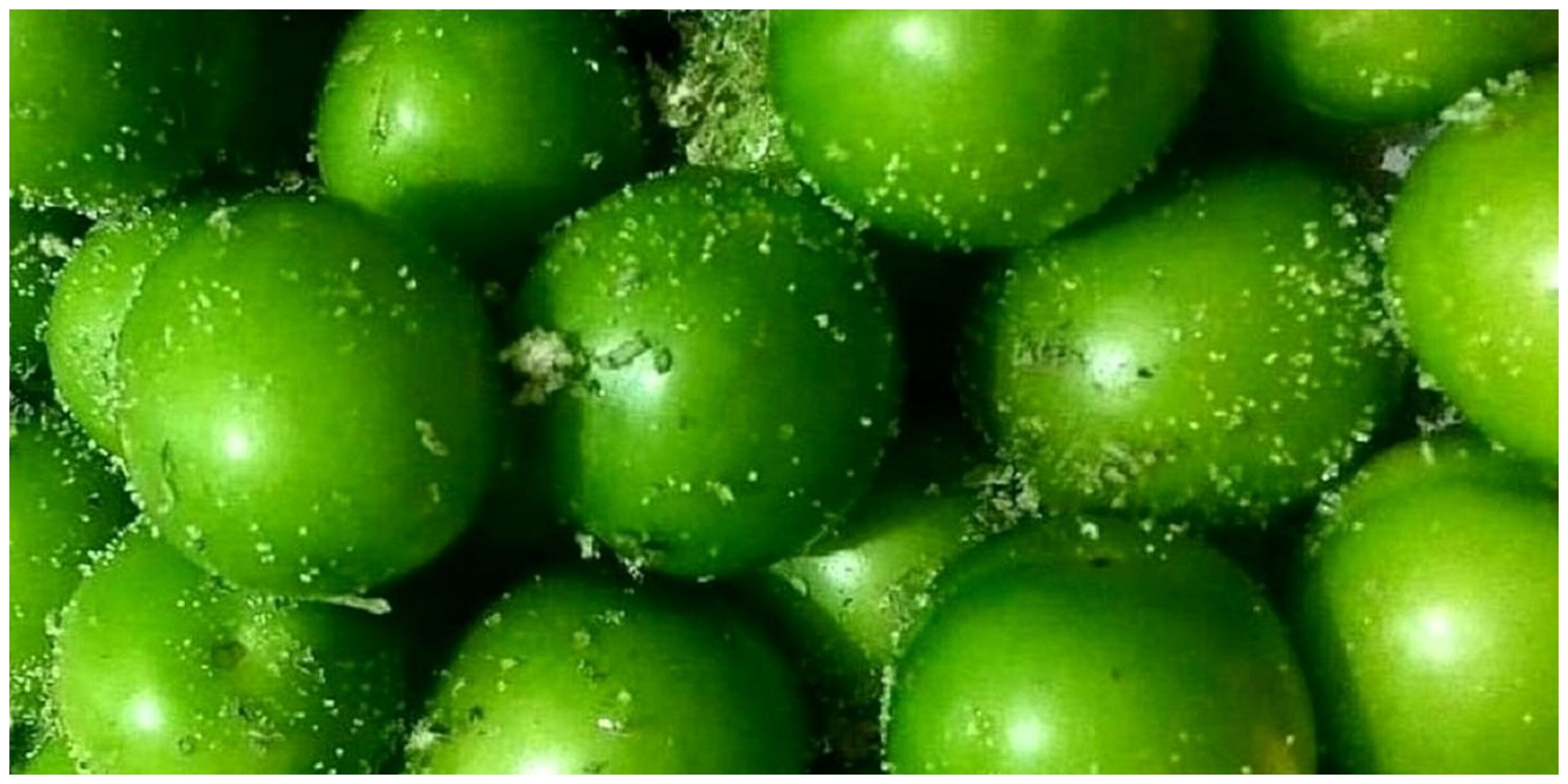 ۹ خاصیت درمانی گوجه سبز/ این افراد هرگز گوجه سبز نخورند