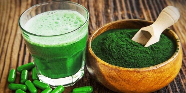 تولید مکمل‌ غذایی از یک جلبک دریایی توسط محققان ایرانی 