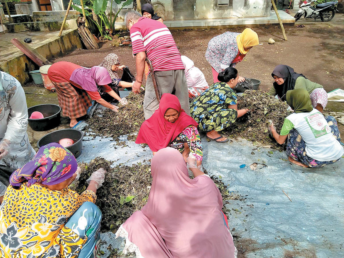 کراود: نجات صنعت کشاورزی اندونزی