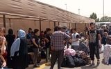 آخرین آمار بازگشت افغان های غیرمجاز به کشورشان از زبان مشاور وزیر کشور