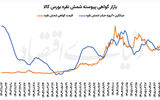 پیشانی بلند نقره بورسی؟
