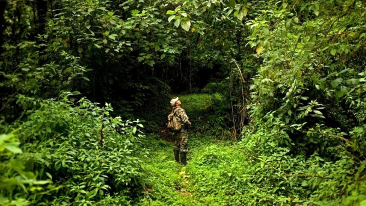 حمله به جنگلبانان آملی با داس و تبر + فیلم