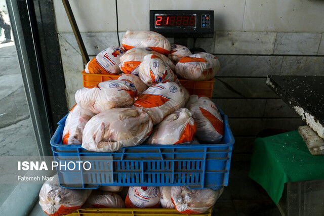 قیمت مرغ در بازار چقدر شد؟
