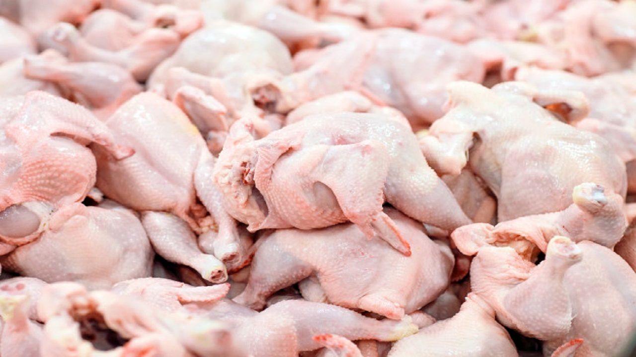 نرخ انواع مرغ در بازار چند؟