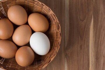 خواص معجزه آسای مصرف روزانه تخم مرغ  برای بدن