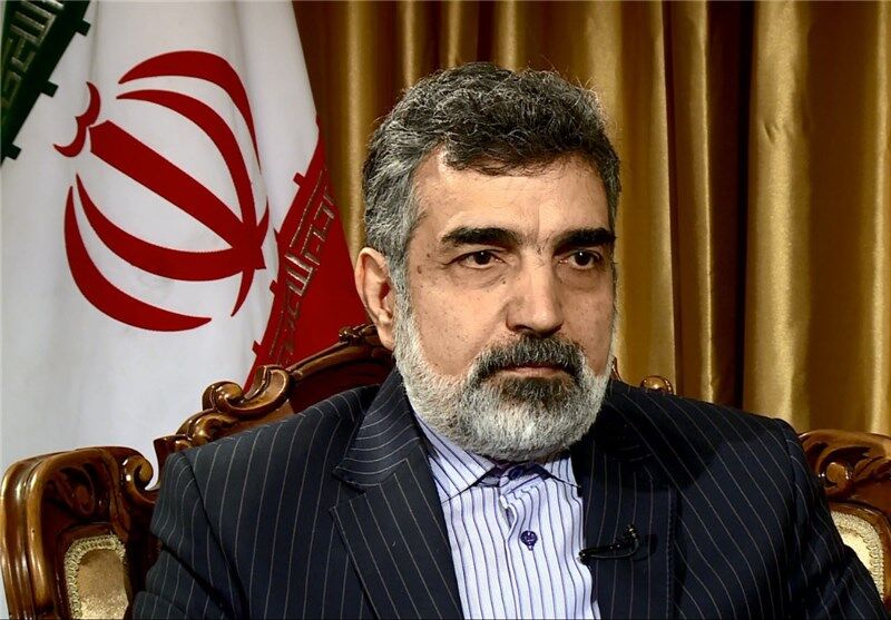واکنش ایران به انتشار نامه های محرمانه توسط آژانش