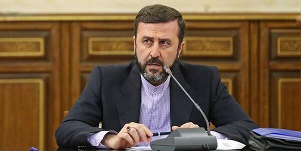 پیگیری دبیر ستاد حقوق بشر از وضعیت شهروندان ایرانی محبوس در آمریکا