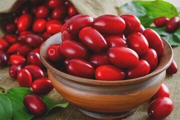 خواص ضدعفونتی این میوه که تابحال نمی‌دانستید
