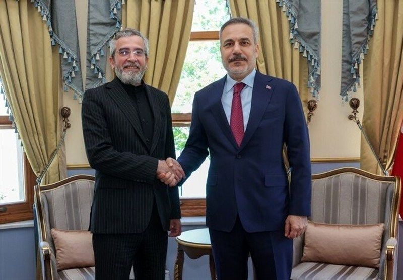 معاون عراقچی با وزیرخارجه ترکیه دیدار کرد
