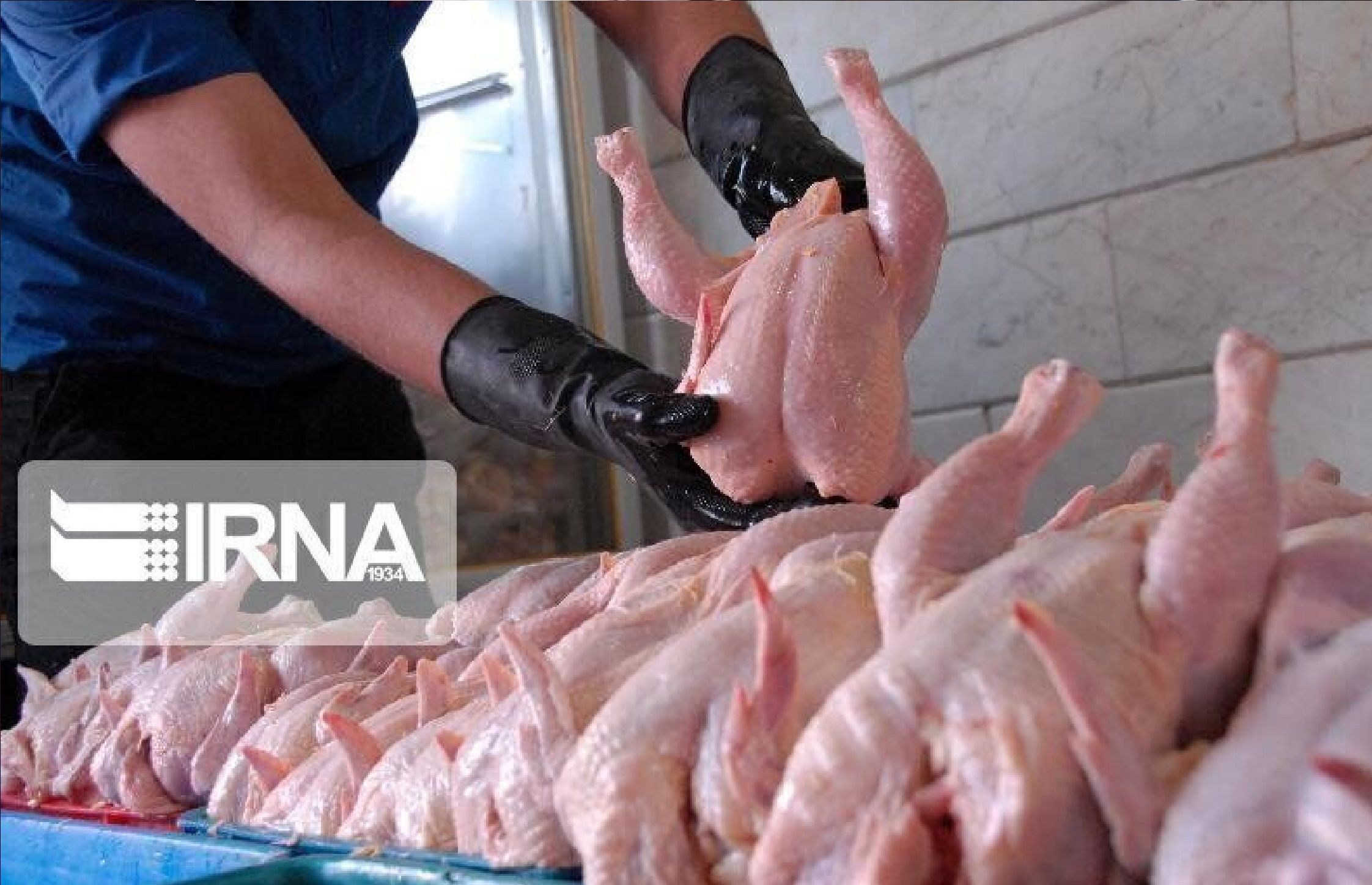 قیمت مصوب کالاهای اساسی ۱۴۰۴ اعلام شد