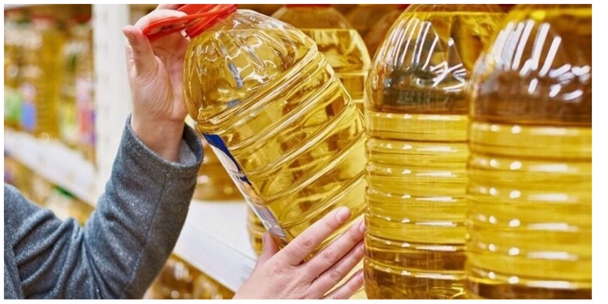 جدیدترین قیمت انواع روغن خوراکی در بازار تیر ۱۴۰۴ /ثبات نسبی قیمت روغن‌های خوراکی