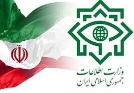 بازداشت یک تبعه‌ سوئدی توسط وزارت اطلاعات به اتهام جاسوسی+جزییات