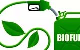 رقابت آسیایی برای زیست‌سوخت‌ها