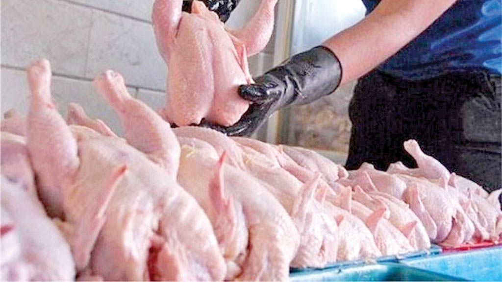 تشکیل اتحادیه‌های استانی کشتارکنندگان مرغ