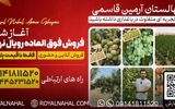 با خرید نهال های ارزان قیمت عمر و سرمایه خود را هدر ندهید