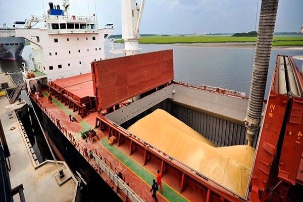 ممنوعیت واردات گندم توسط بخش خصوصی لغو شد