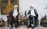 کروبی به دیدار آیت‌الله بیات زنجانی رفت +عکس