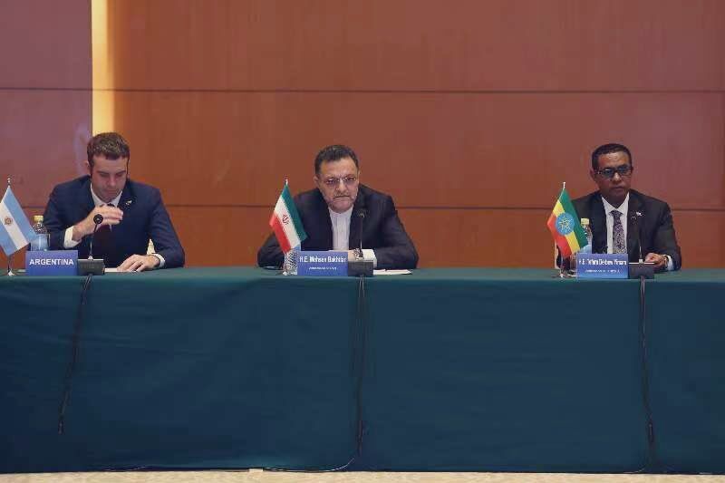 تاکید ایران بر شناسایی ظرفیت‌های همکاری در بریکس