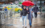 امروز باران میهمان این استان‌ها می‌شود