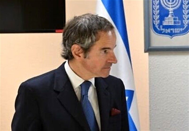 بازگشت دوباره آلمان به انرژی هسته‌ای / گروسی: برلین انگیزه‌های پنهان دارد!