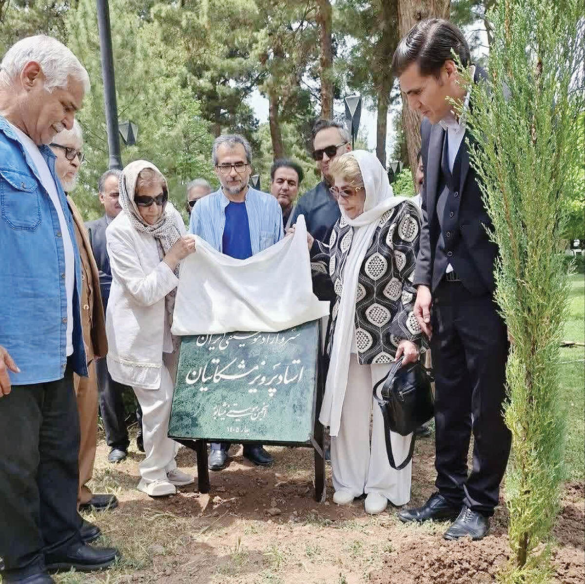 کاشت سرو به یاد استاد فقید موسیقی ایران